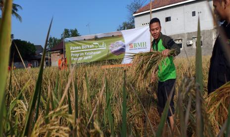 Program ketahanan pangan BMH bertujuan untuk menjamin ketersediaan pangan santri.