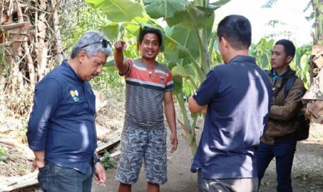 Program pendampingan usaha bagi petani milenial dan wirausahawan muda pertanian di Provinsi Jawa Timur (Jatim) menunjukkan kemajuan signifikan. Kesuksesan tersebut diakui oleh peternak domba Samsi, Edi Susanto usahawan penetasan telur bebek dan Lukman pengolah hasil ternak bebek di Kabupaten Pasuruan.