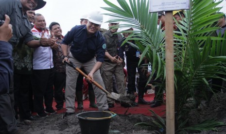 Program peremajaan atau replanting kelapa sawit yang diinisiasi Bupati Muba Dodi Reza.