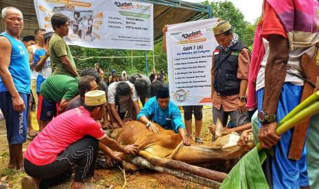 Program Qurban Tanpa Batas BMH berhasil menjangkau titik yang tidak mudah dijangkau, seperti masyarakat pedalaman, kepulauan, dan perbatasan.