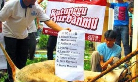 Program Sebar Qurban Nusantara PKPU