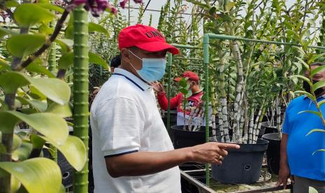 Program Studi (Prodi) Pendidikan Biologi, Universitas Muhammadiyah Malang (UMM) meresmikan Sekolah Unggul Budidaya dan Pemasaran Anggrek. Sekolah ini bertujuan untuk membentuk kemampuan berwirausaha mahasiswa yang berbasis budidaya dan pemasaran anggrek.