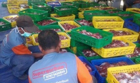 Progran Superqurban Rumah Zakat