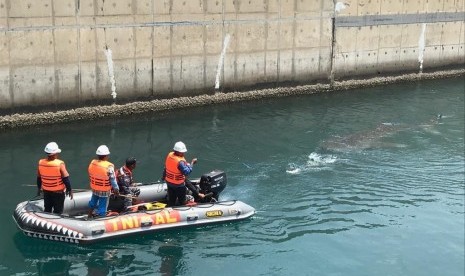 Proses evakuasi Hiu Paus yang terjebak di inlet PLTU Paiton