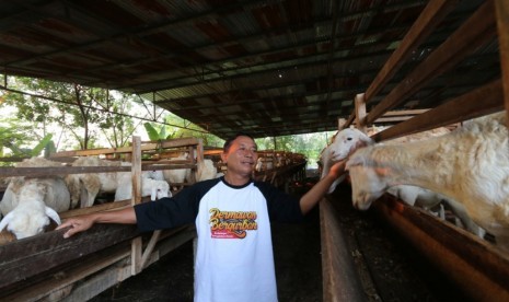 Proses pengelolaan kambing di Lumbung Ternak Wakaf.