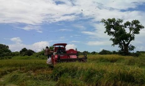 Provinsi Bali menjadi salah satu dari beberapa provinsi di Indonesia yang terpapar wabah Covid-19. Dampak buruk wabah ini terhadap perekonomian di Bali menjadi kecemasan semua pihak. 