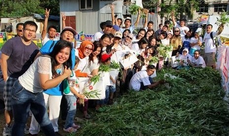 Proyek Pilot Indonesia Berkebun