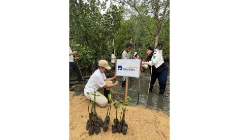 PT AXA Mandiri Financial Services (AXA Mandiri) bersama Asosiasi Asuransi Jiwa Indonesia (AAJI) menggelar kegiatan pelestarian lingkungan dalam bentuk penanaman bibit pohon bakau di Desa Wisata Kampung Tua Bakau Serip, Batam, Kepulauan Riau.