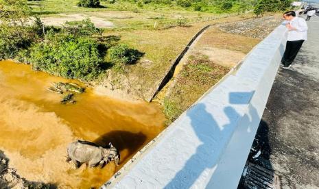 PT Hutama Karya membangun Jalan Tol Trans Sumatera (JTTS) dengan menyediakan lintasan satwa liar, baik gajah, banten, hingga harimau.