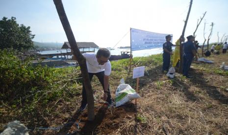 PT Pelindo Multi Terminal (SPMT), sebagai Subholding PT Pelabuhan Indonesia (Persero) lakukan aksi penanaman 30 pohon Trembesi di area Pelabuhan Tanjung Wangi, Banyuwangi sepanjang bulan Juni 2023.