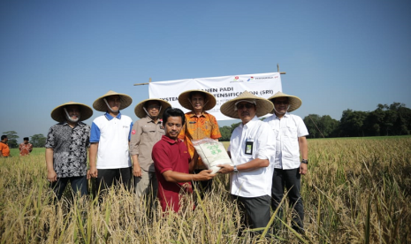 PT Pertamina EP turut berpartisipasi mengembangkan padi berkualitas unggul melalui System of Rice Intensification (SRI).