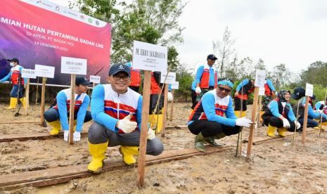 PT Pertamina (Persero) terus mewujudkan komitmennya dalam menekan emisi karbon, salah satunya melalui program Hutan Pertamina. Hutan Pertamina merupakan program tanggung jawab social dan lingkungan (TJSL) Pertamina dalam upaya konservasi dan reforestrasi hutan dengan penanaman pohon mangrove dan daratan. 