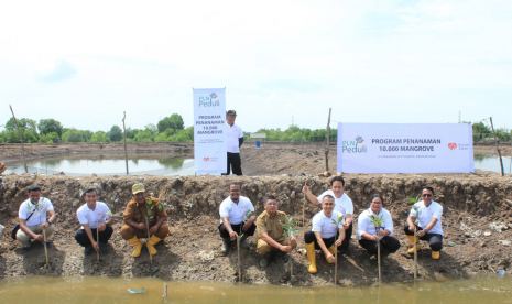 PT PLN (Persero) Unit Induk Pembangkitan Sumatra Bagian Utara menggandeng Rumah Zakat melaksanakan program konservasi mangrove di wilayah Medan. 