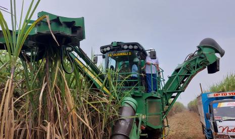 PT Pupuk Indonesia bersama ID Food melakukan panen raya perdana tebu dalam program Makmur di Kabupaten Subang, Jawa Barat, Senin (16/8/2022). Peningkatan produktivitas tercatat mencapai 72 persen setelah petani mendapatkan pendampingan intensif. 