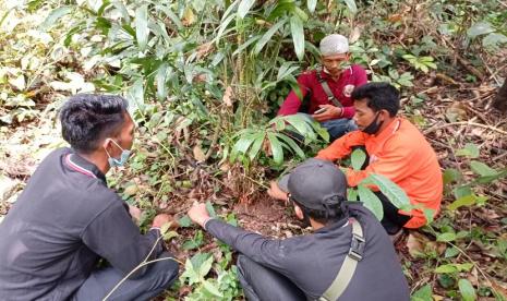 PT Royal Lestari Utama (RLU) melalui anak usaha PT Lestari Asri Jaya (LAJ) mengajak komunitas Orang Rimba membudidayakan Jernang.