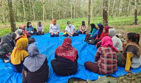 PT Royal Lestari Utama (RLU) perusahaan karet alam berkelanjutan terus memperkuat peran wanita tani di sekitar kawasan hutan.