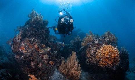 Pulau Lembata di NTT merupakan surga bagi pelancong yang menyukai wisata alam yang cantik.