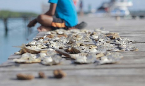 Pulau Widi, Halmahera Selatan, tempat berlangsungnya International Fishing Tournament 2017, yang akan dibuka oleh Presiden Jokowi, Rabu (25/10). 