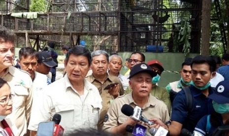 Pusat Suaka Orang Utan asuhan  Mengenal Pusat Suaka Orang Utan asuhan adik Menhan Prabowo untuk melestarikan satwa liar itu.