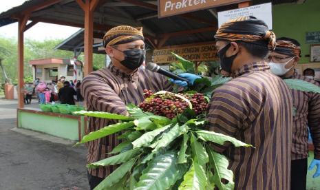 Puslitkoka bagikan rekomendasi untuk agar petani kopi selamat dari dampak buruk El Nino