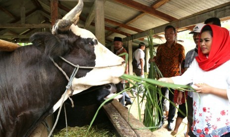 Puti Guntur Soekarno