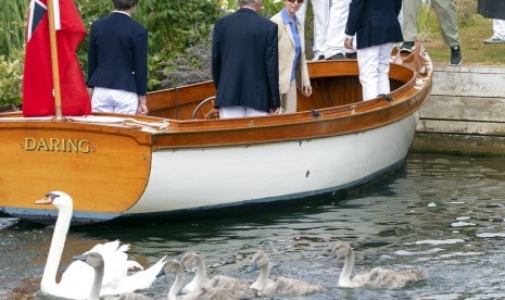 Putri Anne melihat angsa dan anak angsa saat tradisi 'swan upping' atau sensus populasi angsa di Sungai Thames, London, (17/7).