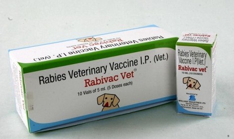 Rabies vaccine (illustration)