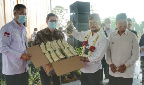 Rabu (3/11), Menteri Pertanian (Mentan) Syahrul Yasin Limpo kembali meluncurkan tiga varietas unggul dan bermutu kentang industri dalam Gelar Teknologi Kentang Industri di Balai Penelitian Tanaman Sayuran (Balitsa), Lembang, yaitu varietas Medians, Ventury Agrihorti, dan Golden Agrihorti yang memiliki karakteristik sesuai untuk kebutuhan industri, khususnya keripik dan french fries.