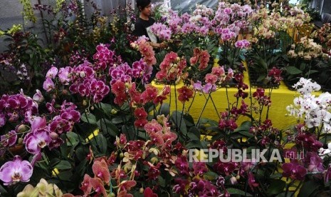 Ragam tanaman hias dijual pada pameran Flora dan Fauna Indonesia (Florina). ilustrasi (Republika/Tahta Aidilla)