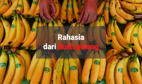 Rahasia buah pisang