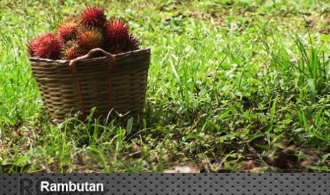 Rambutan di Mekarsari