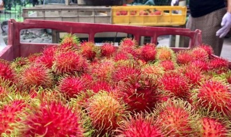 Rambutan yang siap dikirim ke pasar.