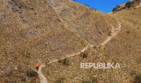 Rana - Pulau Komodo - Pulau Pandar