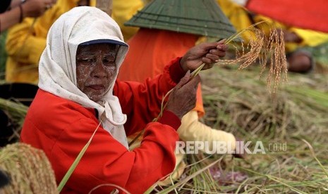 RANA: Wanita paruh baya ikut serta dalam prosesi panen raya (Katto Bokko).