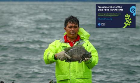  Regal Springs perusahaan budidaya ikan yang berkelanjutan dengan bangga mengumumkan keanggotaan pada Kelompok Kerja Akuakultur Berkelanjutan pada Kemitraan Pangan Biru (Blue Food Partnership Sustainable Aquaculture Working Group) di bawah naungan Blue Food Partnership. 