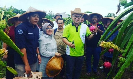 Rektor IPB Arif Satria ikut melakukan panen buah naga di Sabisa Farm. 