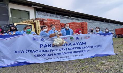 Rektor IPB Arif Satria dan Dirjen Diksi Kemendikbud Ristek) Wikan Sakarinto mengikuti panen raya ayam Teaching Factory (Tefa) modern closed house sekolah vokasi IPB University di Kampus IPB Sukabumi, Rabu (9/6).