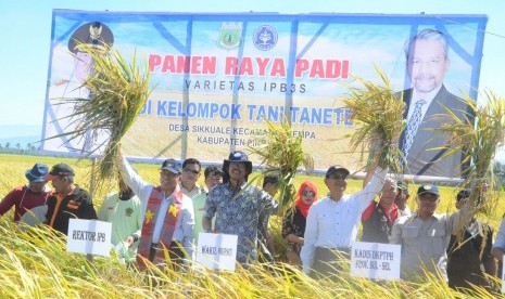 Rektor IPB Herry Suhardiyanto menghadiri panen raya padi IPB 3S di Kabupaten Pinrang, Sulawesi Selatan, Sabtu (9/9).