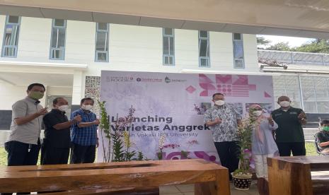 Rektor IPB University, Prof Arif Satria menghadiri peluncuran tiga jenis anggrek baru yang dikembangkan oleh Sekolah Vokasi IPB University bekerja sama dengan Nusantara Agri Persada (Nusada Anggrek) dan DD Orchid Nursery, Ahad (27/3).