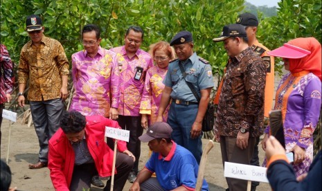 Rektor UIN Suka, Yudian Wahyudi (berbaju merah) menanam pohon mangrove. 