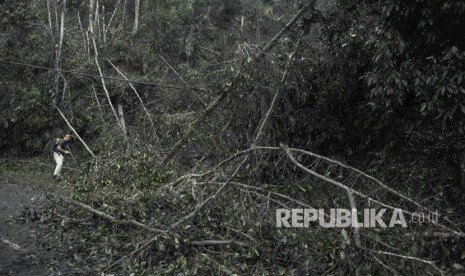 Relawan dari Bali Rumah Singgah Satwa berada di dekat pepohonan yang mati akibat abu vulkanis saat mencari hewan-hewan terdampak bencana Gunung Agung, di Sebudi, Karangasem, Bali, Ahad (3/12).