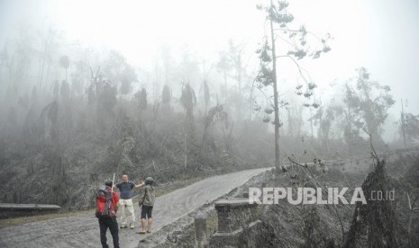 Relawan dari Bali Rumah Singgah Satwa berada di dekat pepohonan yang mati akibat abu vulkanis saat mencari hewan-hewan terdampak bencana Gunung Agung, di Sebudi, Karangasem, Bali, Ahad (3/12). 