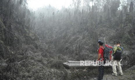 Relawan dari Bali Rumah Singgah Satwa memperhatikan pepohonan yang mati akibat abu vulkanis saat mencari hewan-hewan terdampak bencana Gunung Agung, di Sebudi, Karangasem, Bali, Ahad (3/12).