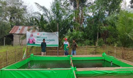 Relawan Desa Berdaya Tri Kembang, Darwil Putra melakukan kunjungan rutin sekaligus menyalurkan bantuan pakan untuk ternak ikan lele yang diserahkan langsung kepada ketua kelompok budidaya ternak ikan lele di Dusun Kembayat dan Dusun Sagang, Desa Tri Kembang, Kabupaten Sambas, Ahad (12/9).