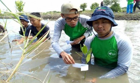 Relawan Dompet Dhuafa menanam pohon di Desa Linduk, Kecamatan Pontang, Serang, Banten pada Ahad (10/12).