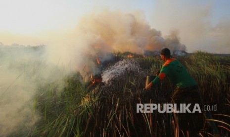 Relawan pemadam kebakaran berupaya memadamkan kebakaran lahan gambut di Kecamatan Bati-Bati, Kabupaten Tanah Laut, Kalimantan Selatan, Ahad (1/9/2019). 