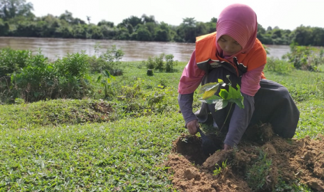 Relawan Rumah Zakat bantu menghijaukan Nusantara dengan gerakan menanam pohon serentak.