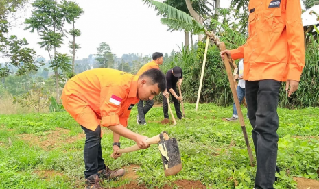 Relawan Rumah Zakat bekerja sama dengan Dinas Lingkungan Hidup Kota Cimahi melaksanakan kegiatan penanaman pohon. 