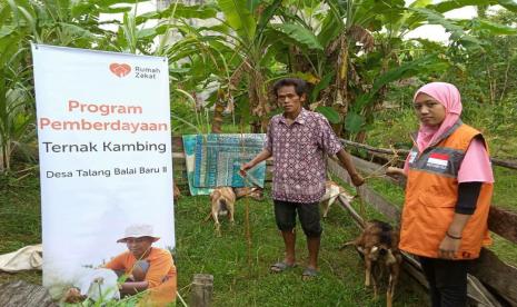 Relawan Rumah Zakat berkesempatan melakukan supervisi ke Desa Berdaya Talang Balai Baru. Pasalnya, di desa tersebut terdapat dua orang peternak kambing dan sapi dibeda lokasi yang akan mendapatkan pendampingan selama berapa bulan ke depan. 