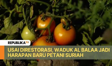 Restorasi waduk membuat para petani bisa memproduksi lebih banyak tanaman dan membawa harapan masa depan yang lebih baik.